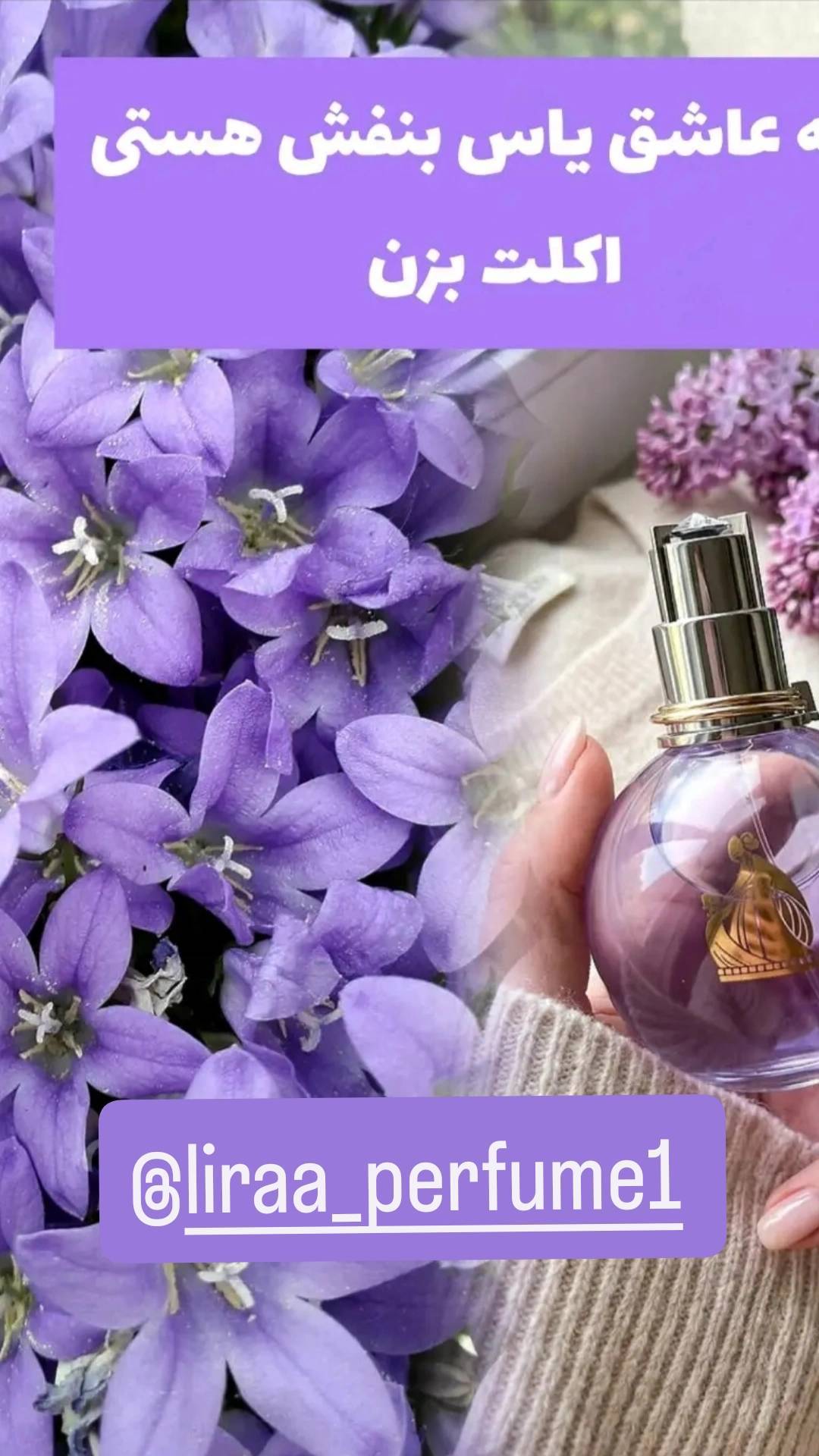 عطر زنانه اورجینال اکلت